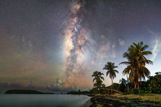 A Starry Night in the Tropics