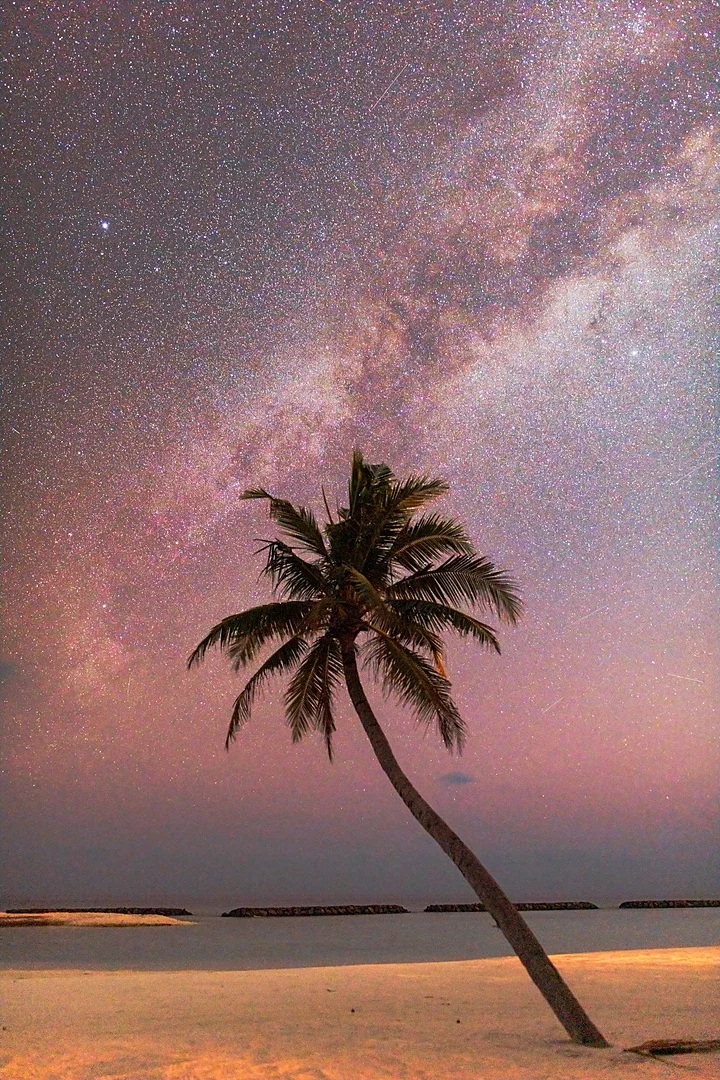   Palm Galaxy by Babak Tafreshi