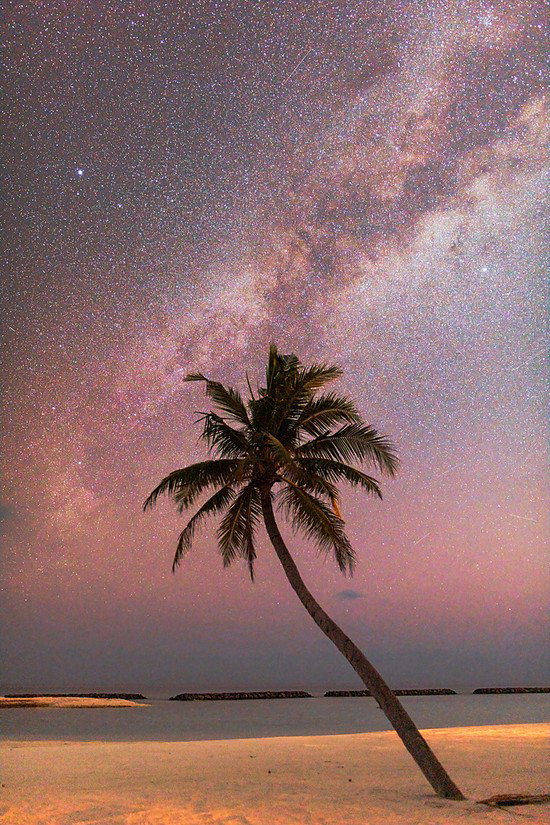 Palm Galaxy
