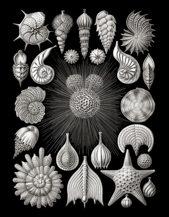 Classic Collection III