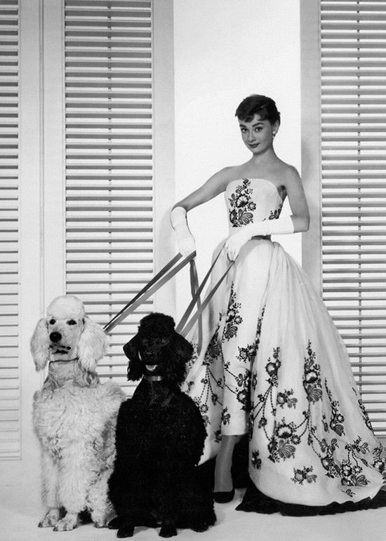 Audrey Hepburn with Poodle by Classic Collection II - Darlings