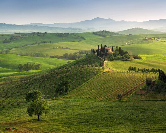 Tuscany Spring