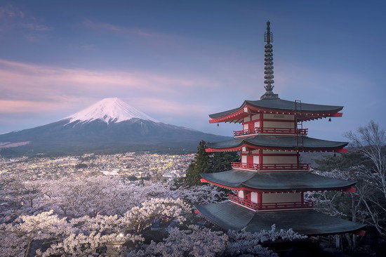 Japan Icon