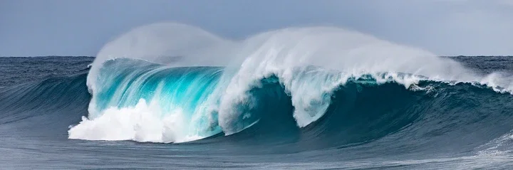   Panoramic Wave II by Daniel Reiter