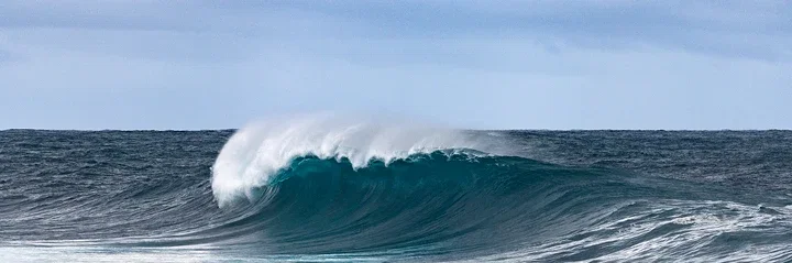   Panoramic Wave III by Daniel Reiter