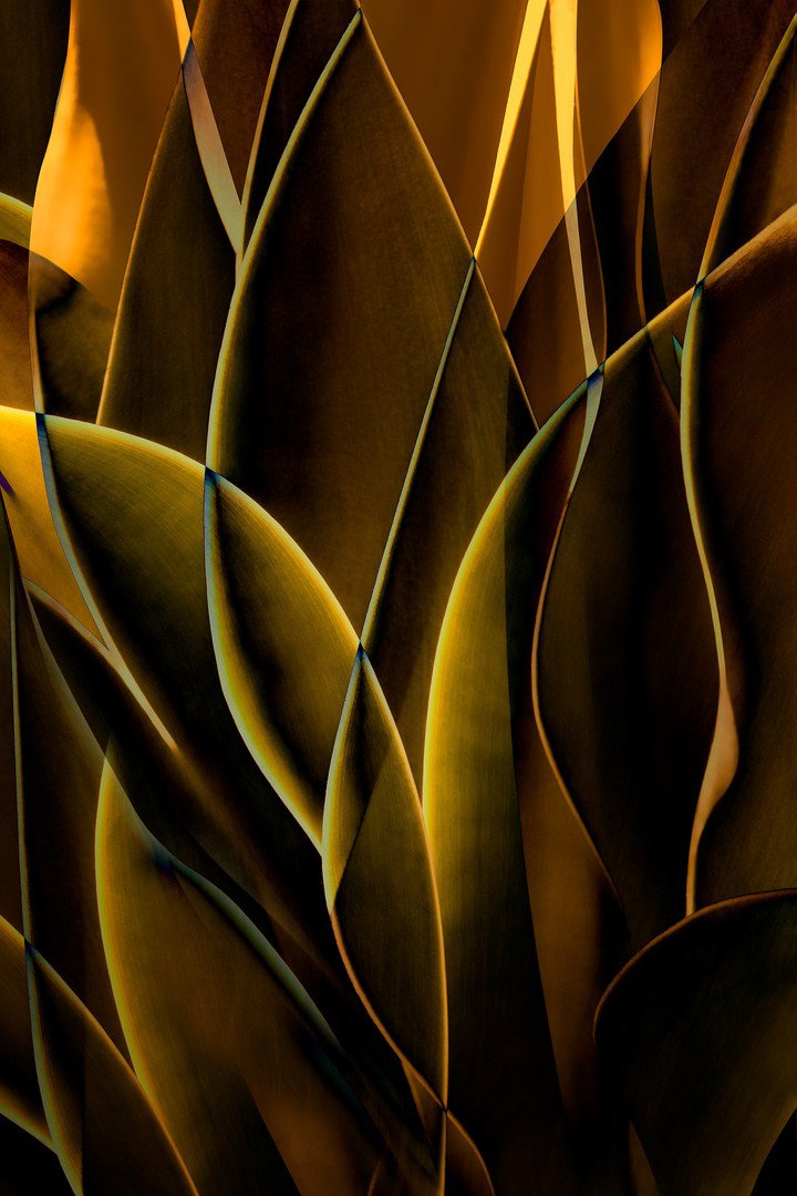 Ed Freeman Fine Art Prints and Photography | LUMAS