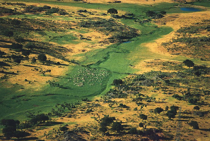 Klaus D. Francke Fine Art Prints and Photography | LUMAS