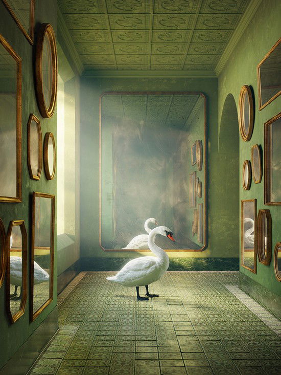 Swan by Massimo Colonna - Limited Edition. Edition of: 150. Signed.