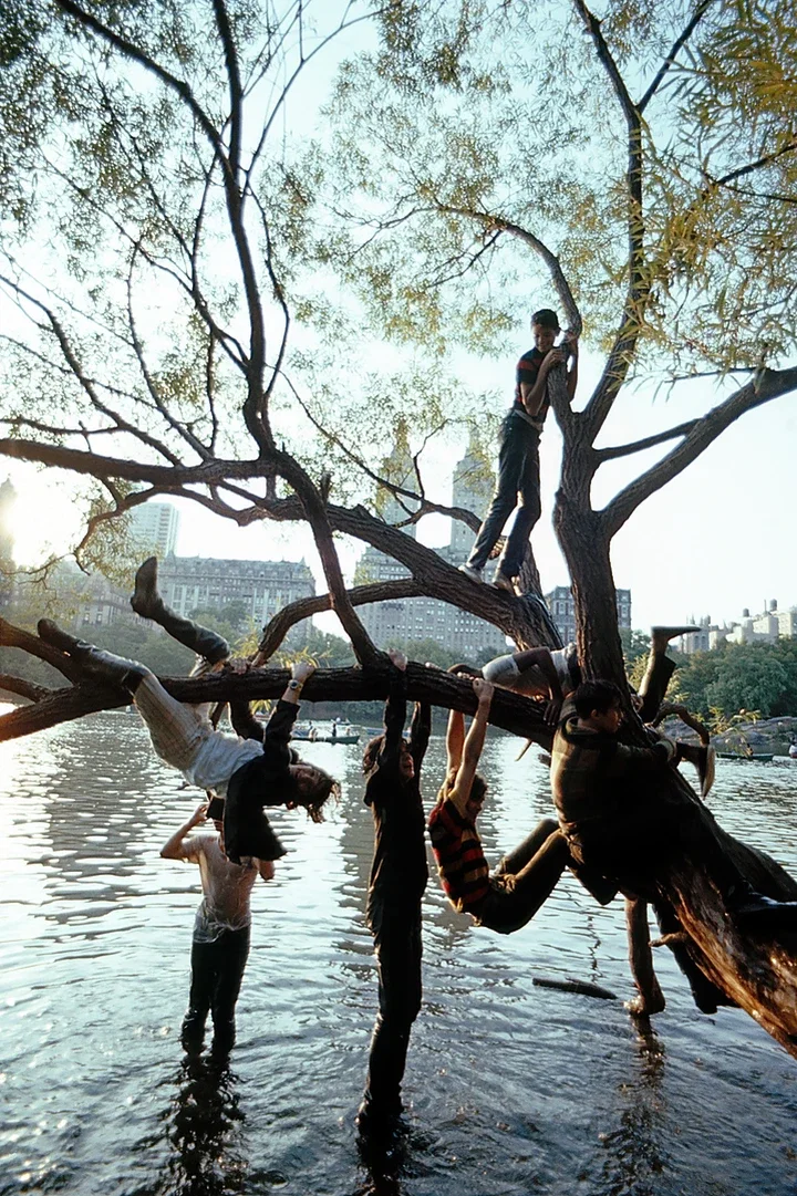   Central Park New York 1967 by Robert Lebeck