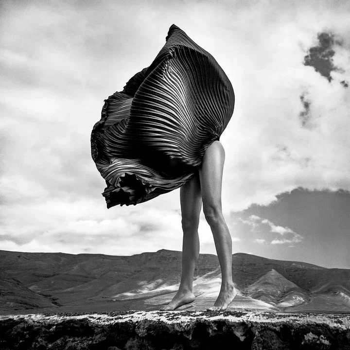   Flower von Szymon Brodziak