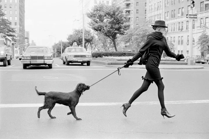   Dog Walks Woman by Pamela Hanson | Trunk Archive