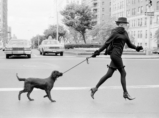 Dog Walks Woman